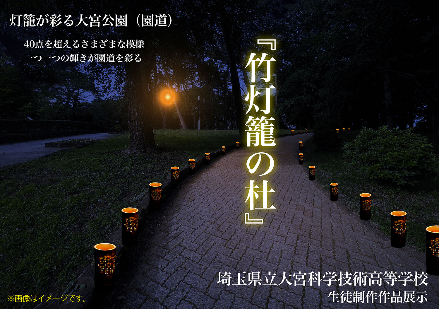 大宮公園白鳥座